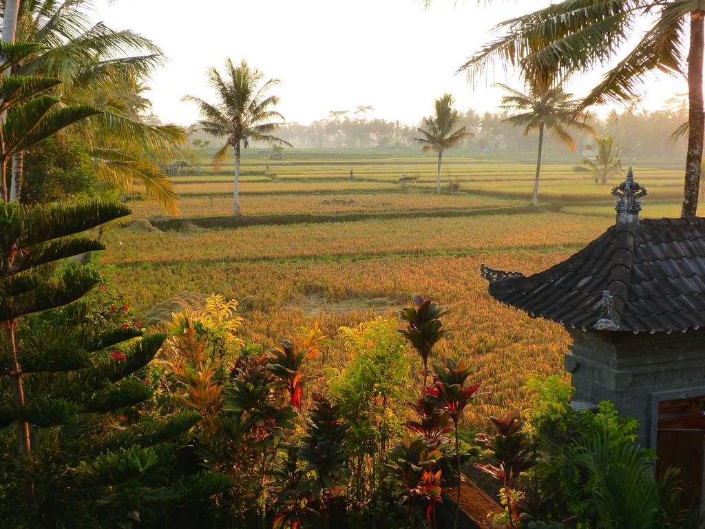 Villa Agung Khalia Ubud Buitenkant foto