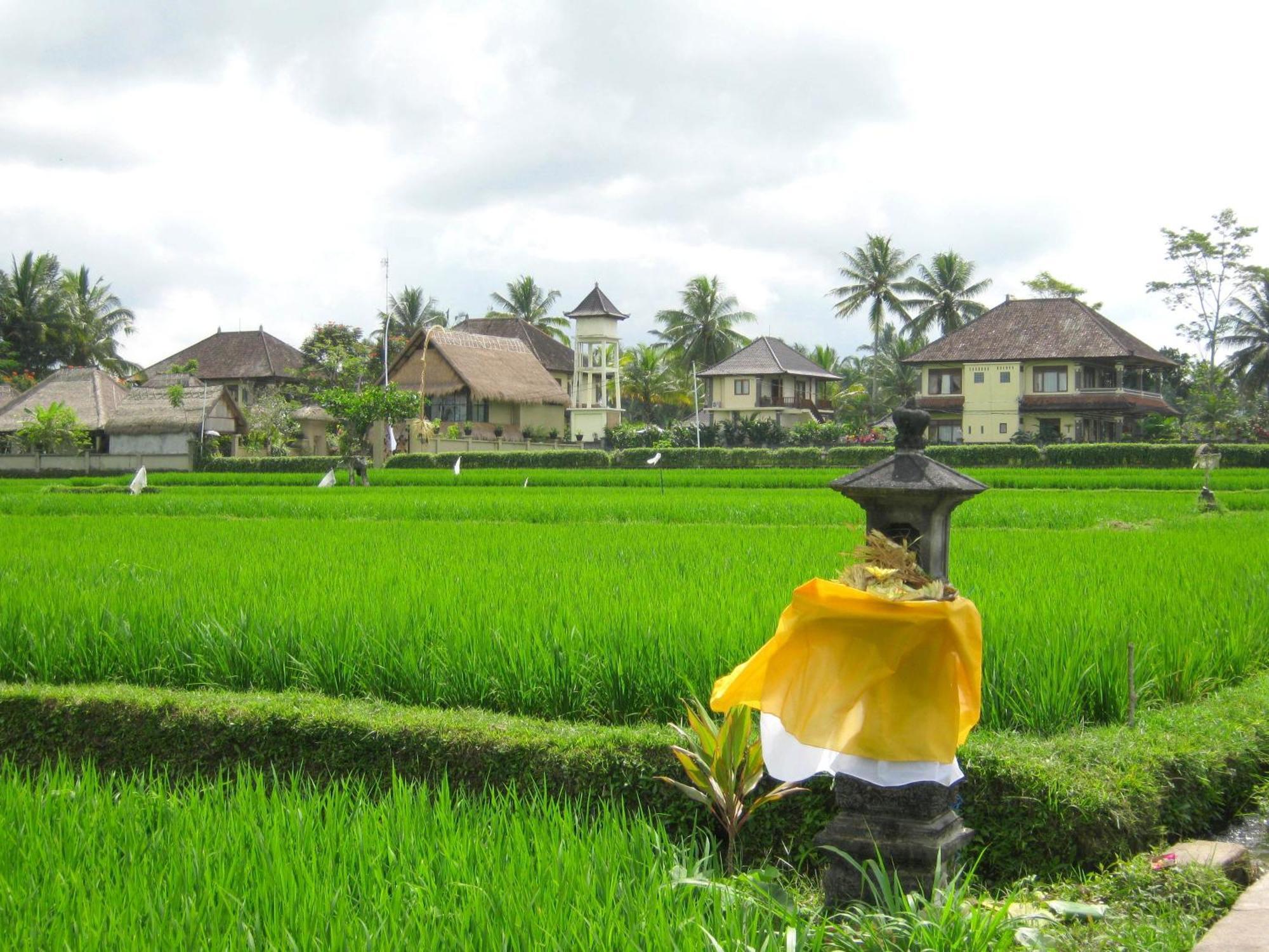 Villa Agung Khalia Ubud Buitenkant foto